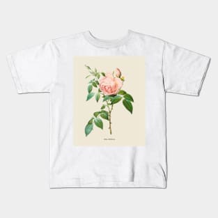 Pink Rose Antique Botanical Illustration Kids T-Shirt